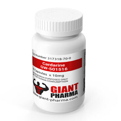 PVC GW501516 Tablettenfläschchenetiketten mit individuellem Design und individueller Größe